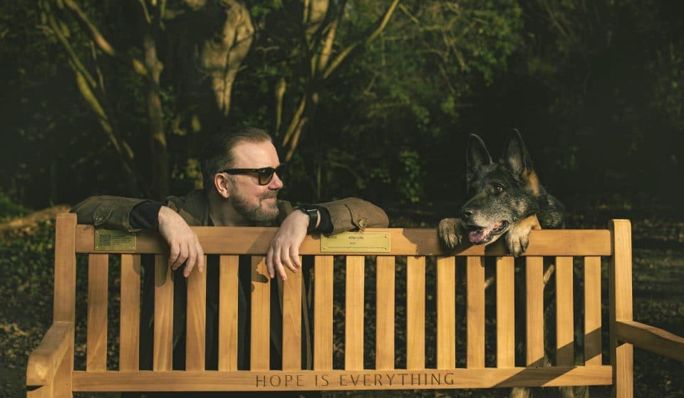 Netflix Has Donated A Mental Health Bench To This Glasgow Park As Part Of The Release Of ‘After Life’
