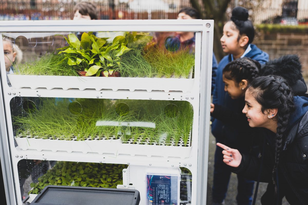 children-at-Ibrox-School-looking-at-vertical-farms