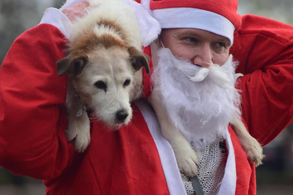 glasgow santa dash with dog