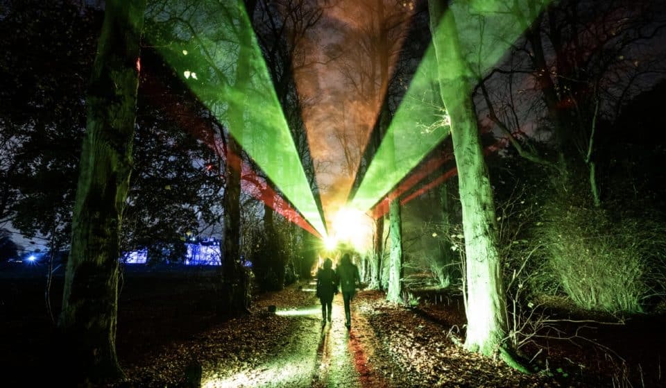 This Enchantingly Festive Light Trail Is Coming To A Forest An Hour Away From Glasgow