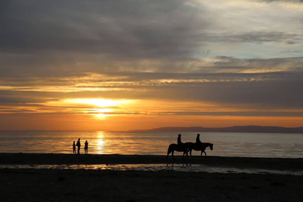 ayr beach sunset horse riding people