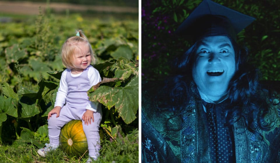 This Scottish Farm Is Hosting An Autumn Festival With Pumpkin Picking And Spooky Activities